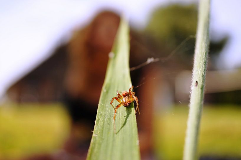 Naturfoto von Wietze Wiegersma