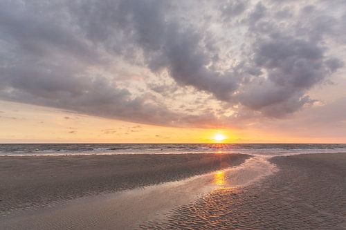 Avondstemming wad