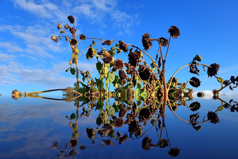 kunst van Edgar Schermaul