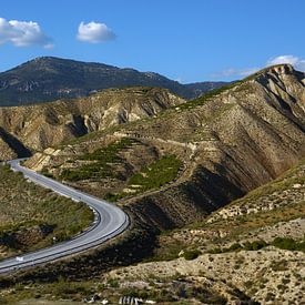 Bergweg/mountainroad van Harrie Muis