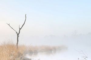 Eenvoud sur Remco Stunnenberg