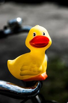 The Squeaky Duck by Norbert Sülzner