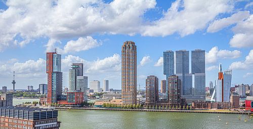 Rotterdam, Wilhelmina Pier