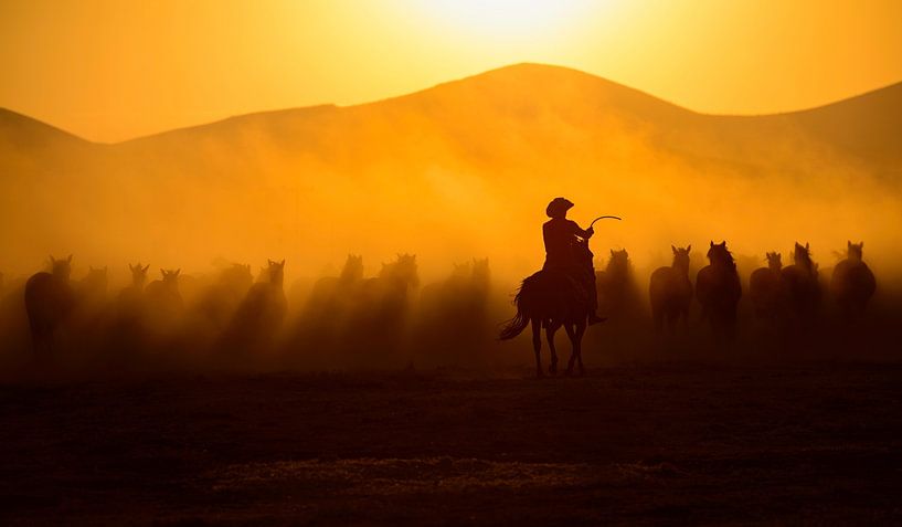 Chasing the Jades!, Yavuz Pancareken by 1x