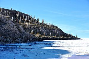 Einzigartige Landschaft auf der Insel Incahuasi, Bolivien