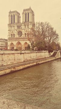Notre dame Paris