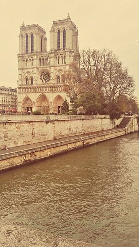 Notre dame Paris
