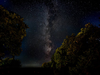 De Melkweg boven het nachtelijke bos