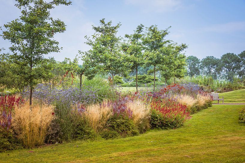 engelse tuin met gras en borders van ChrisWillemsen