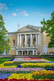 Oper in Halle-Saale von Martin Wasilewski