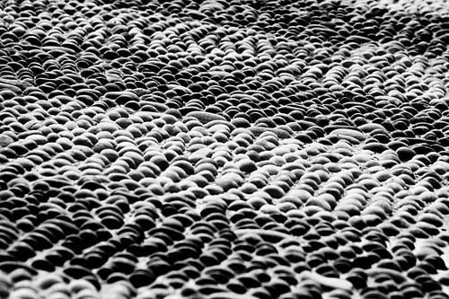 DE STENEN RIVIER - RIVER OF STONES