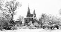 Poort in de sneeuw