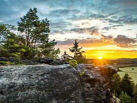 Quirl, Saksisch Zwitserland - rotsplateau en veld