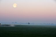 Nebliger Sonnenaufgang in der niederländischen Landschaft mit Kanal in den Feldern und dem Mond von Nfocus Holland Miniaturansicht