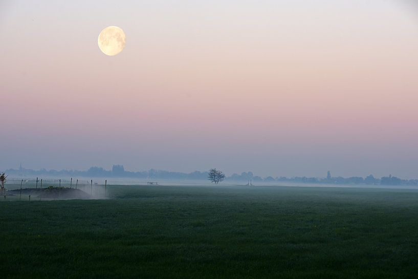 Nebliger Sonnenaufgang in der niederländischen Landschaft mit Kanal in den Feldern und dem Mond von Nfocus Holland