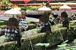 Heilige Statuen in einem Tempel in Ubud