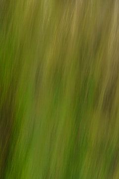 Abstract grass 5
