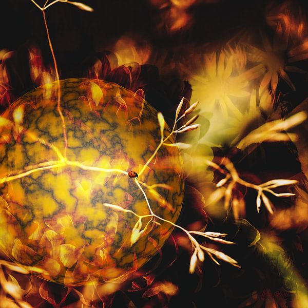 Un monde de fleurs par Helga Blanke