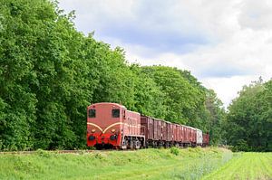 Alter Diesel-Güterzug auf dem Lande