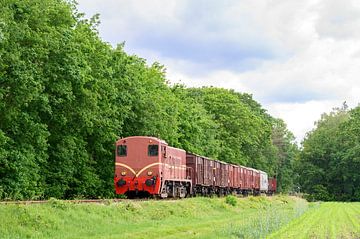 Oude diesel goederentrein op het platteland van Sjoerd van der Wal Fotografie