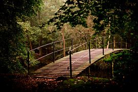 Bridge in the forest by Mandy Grootveld