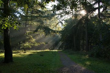 Zonneharp van Ronald Stultiens