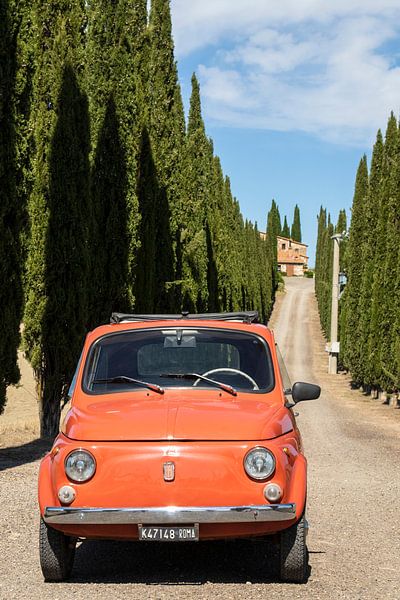 Fiat in Cypress Avenue (10) von Jolanda van Eek en Ron de Jong