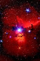 Horsehead Nebula Region with star Alnitak