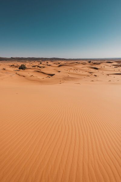 Marokko woestijn 2 van Andy Troy
