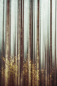 Planken Wambuis part 159 by Tania Perneel