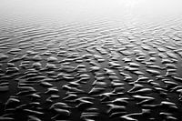 Strandmuster in Schwarz und Weiß A
