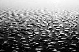 Strand patronen in zwart wit A van Stella Ammerlaan