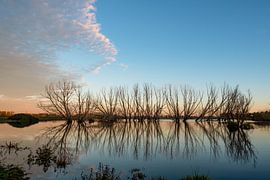 landscape, Limburg by Joep Deumes