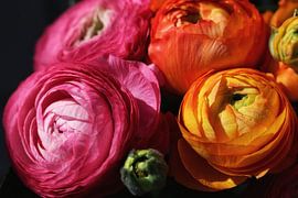 Blumen von nataschja van der Woude-de Jong