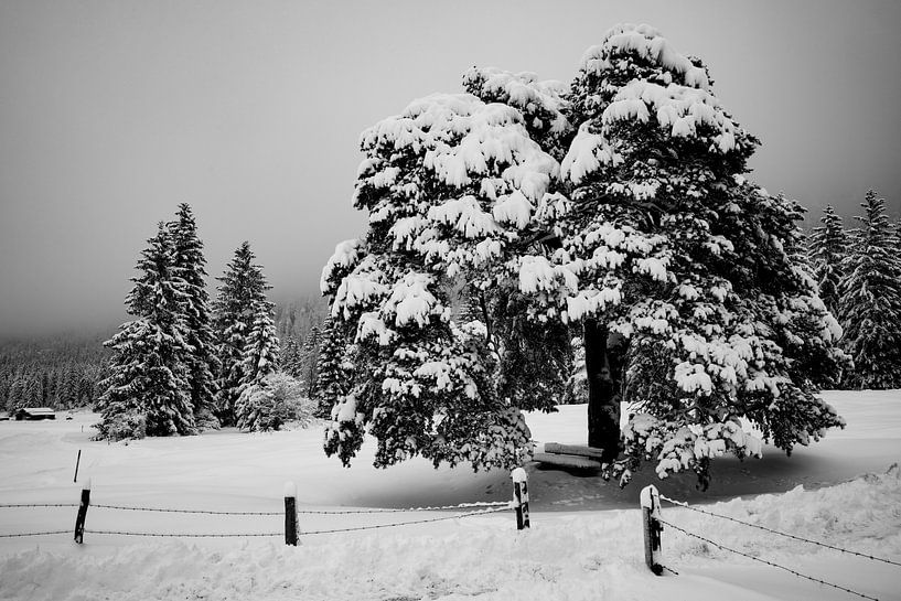 Winteridylle in Farchant van Andreas Müller