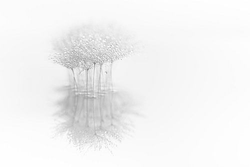 Abstract zwart-wit-grijs: Samen alleen in de leegte (minimalisme)