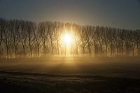 Zonsopkomst