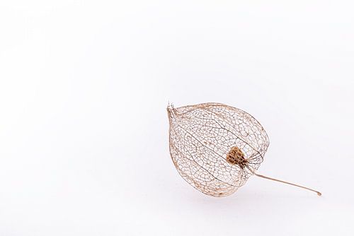 Het eenzame lampionnetje