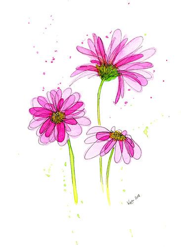 Doodle de gerberas