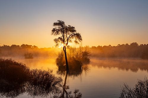 Landschap met morgenrood en mist tijdens zonsopkomst