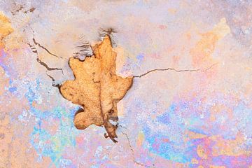 Oak leaf on colourful seepage by Karla Leeftink