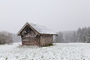 Winter snowfall van Olha Rohulya