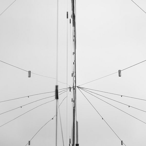 Wires by Adri FRIJTERS