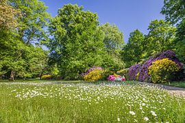 Blumenpracht im Kurpark von Bad Homburg von Christian Müringer