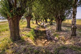 Das alte Kanjelbeek in Itteren