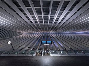 Gare de Liège sur Gerrit de Groot