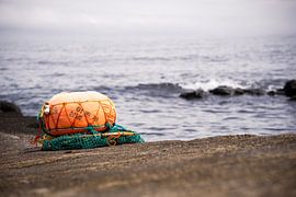 Le Signe de la Mer sur Milene van Arendonk