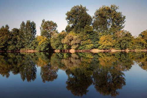 Franse spiegel