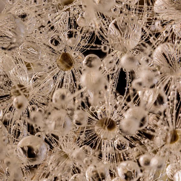 Carré abstrait aux tons chauds de brun par Marjolijn van den Berg
