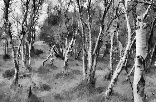 Berkenbos in zwartwit, Digitale kunst